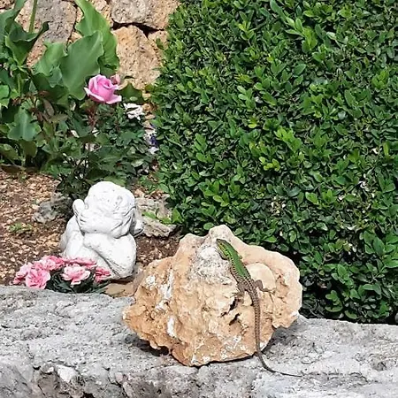 Fenix Gostinjska kuća